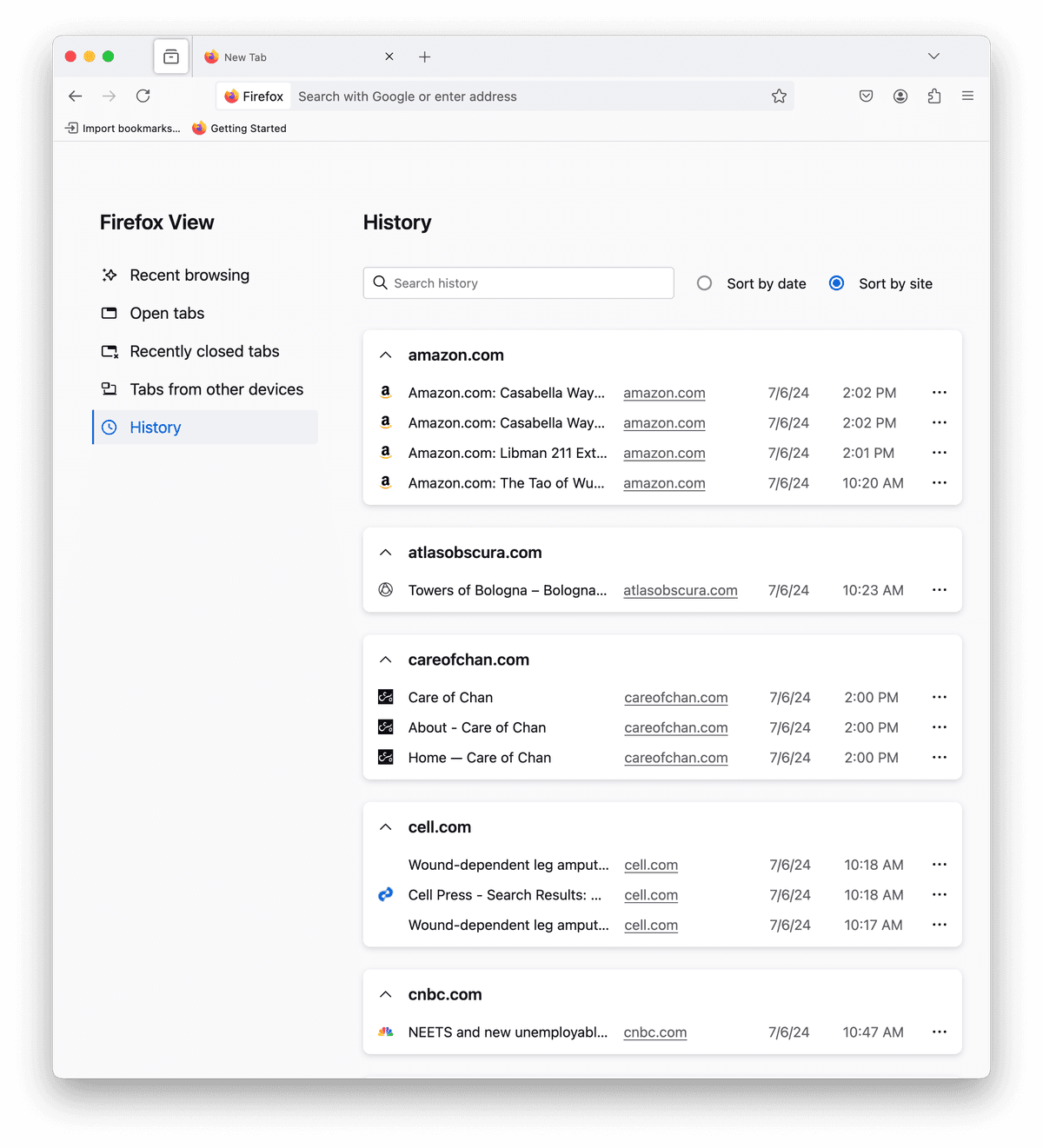 Firefox View history by site